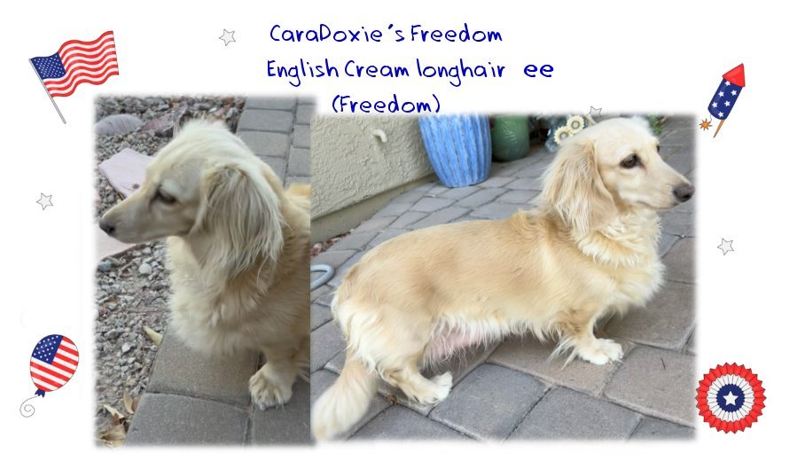 Freedom